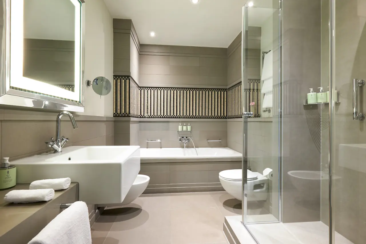 Deluxe Room-Bathroom.jpg